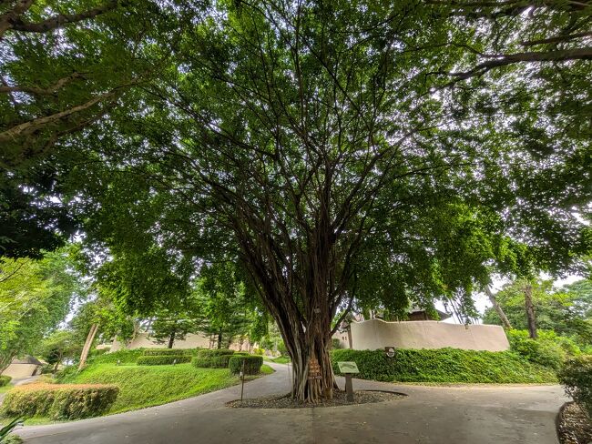 3日目<br />歩いて朝食レストランへ向かいます。