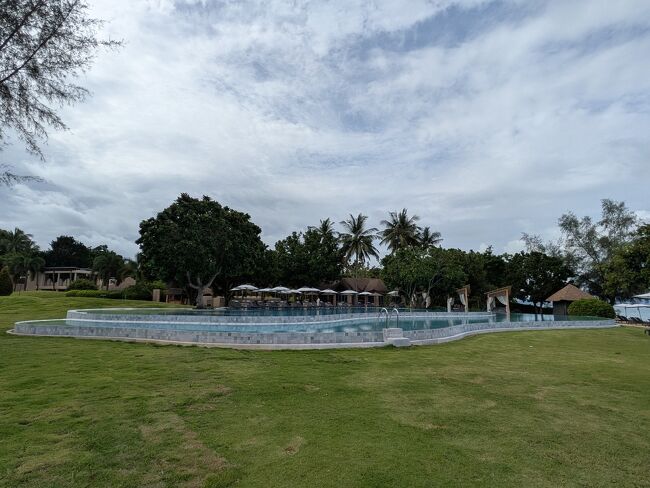 今朝もメインプールは誰もいない