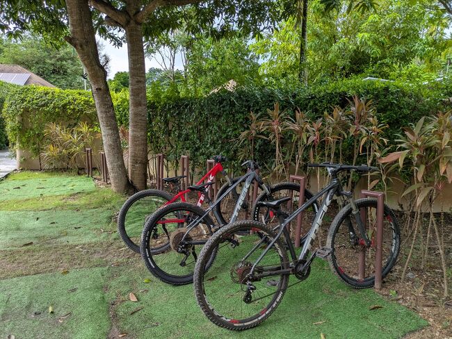 ゲストは無料でレンタサイクルできます