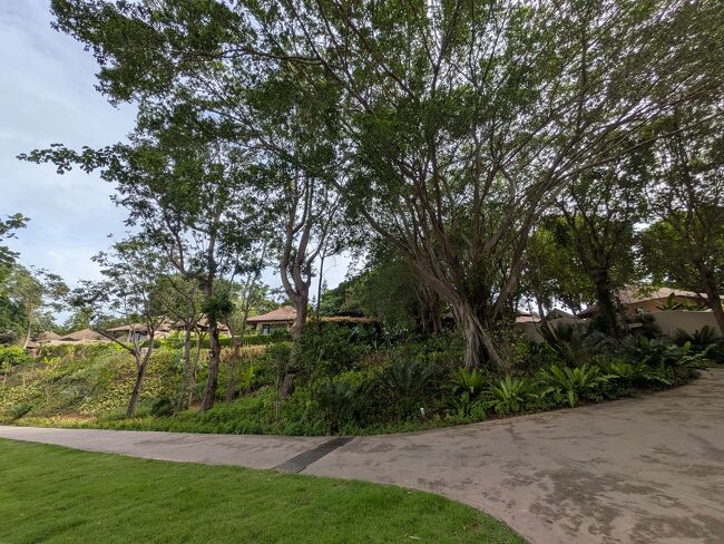 リゾートに戻ってきて、バギーでヴィラまで送ってもらいます