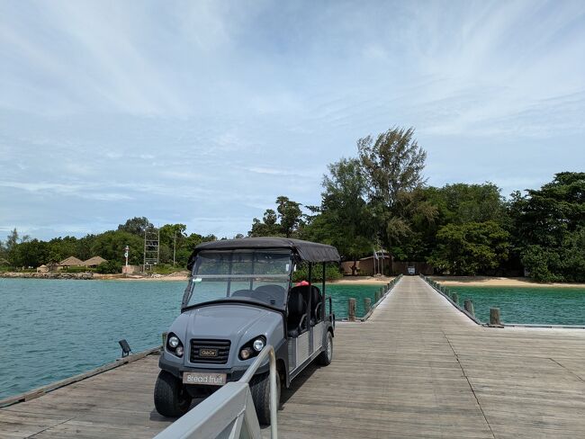 ポートまでバギーが迎えに来てくれる