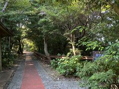 木木が大きくて歩いていて気持ちの良い場所です。
吉野熊野国立公園は三重、奈良、和歌山にわたり、山岳、河川、海岸、海域から構成されるそうです。
