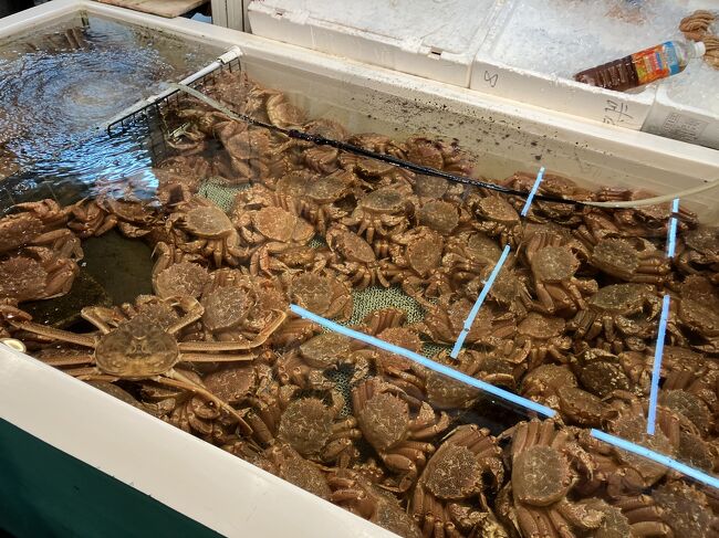 カニさんもいます。