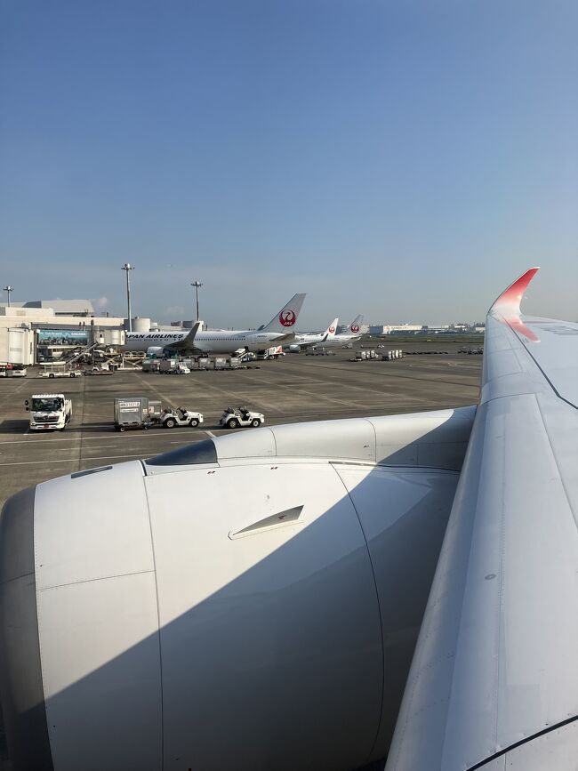 楽しかった北海道旅行！