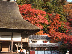 本堂と紅葉