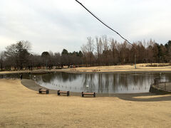 埼玉県と入間市にそれぞれ鳥のキャラがいて、ややキャラ被りな気が。
まだ見慣れていないので、公園の掲示などで見るたびに「どっち?」という感じでした。
県には「コバトン」、市には「いるてぃ」というキャラがいます。
