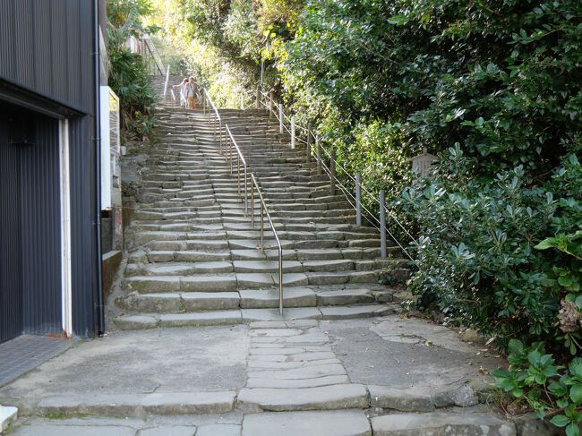 本参道の鵜戸山八丁坂です。<br />前の写真の突き当り左側に位置しています。<br /><br />「観光駐車場」から上り４３８段、下り３７７段の合計８１５段あるそうです。