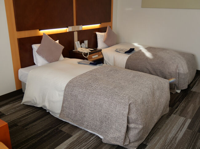 ツインルームでほどほどの広さがあります。