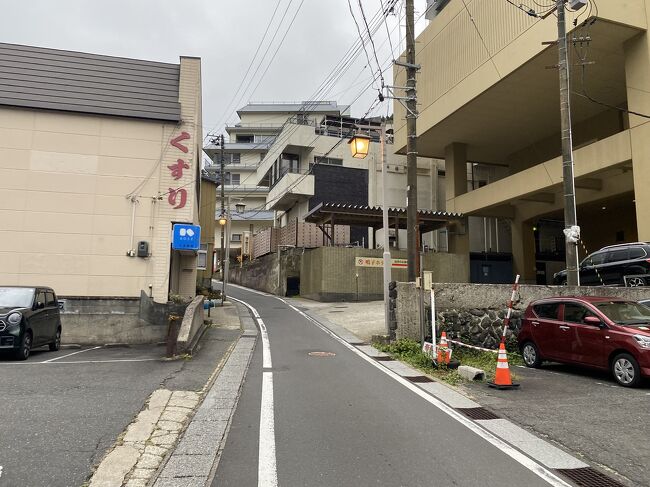 初めは歩いて翌日行こうと思いましたが、徒歩15分かかるし明日は雨なので、