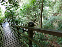 バスで「河津七滝遊歩道上入口」へ行く。途中に通ったループ橋が珍しかった。遊歩道までバス停からけっこう階段を下る。