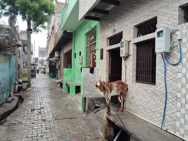 メトロ駅の大通りへ。