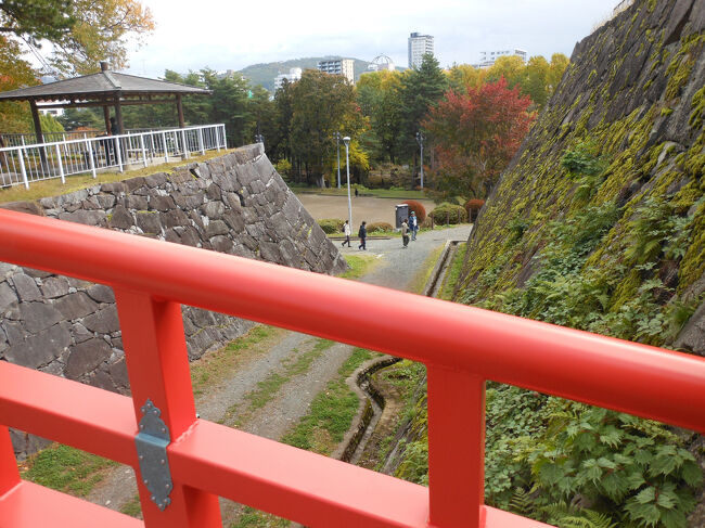 橋から下はこんな風景です。