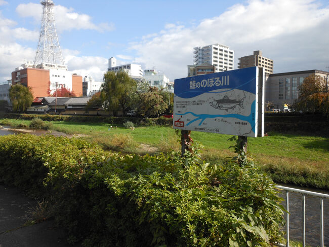 お城を出て中津川を渡ろうとしてます。<br />お城付近の川なのですが、この川、鮭がのぼるようです。<br />お城付近に熊がでたのも、鮭が目的なのでないかと思いました。<br />