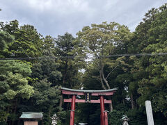 門の後ろの立派な森