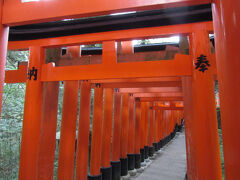 「本宮」⇔「奥の院」にある「千本鳥居」は実は900本程度しか無いそうですが、稲荷山への参道には多くの鳥居があり、神域である稲荷山を含めると伏見稲荷大社の鳥居の数は1万本を超える数があるそうです