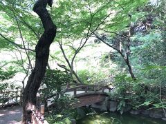 暑さの中にも涼が。