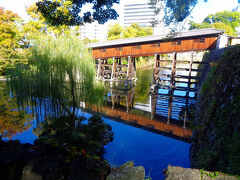 そして和歌山城の城内にはこんな立派な庭園があります。

西の丸庭園とそれに隣接する紅葉渓庭園です。