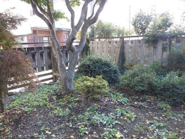 庭です。<br />見学終えたので、盛岡駅に歩いてゆきます。