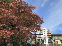 県庁を過ぎると蒲生神社でハナミズキが真っ赤で綺麗でした