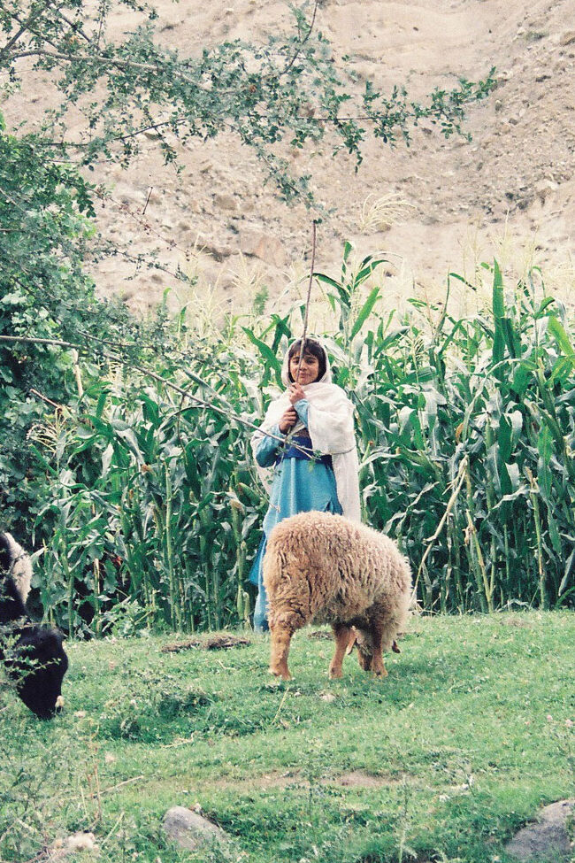 　シャンドゥール峠越え、チトラール経由、ペシャワール経由ラーワルピンディー行きのジープをUS＄550でチャーターする。<br />　一旦、ギルギットまで降りて、峠をめざして西に進む。