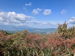 吉野の観光を終え、奈良市内の大和西大寺に15:00頃にレントカーを返しに行く予定です。この時点でまだ11時なので少し景色なども楽しみながらドライブすることにします。

紅葉は少し期待していたのですが、まだ少し早かったようです。部分的には始まっていて、少しだけですが楽しむことができました。

こちらは、高城山展望台。
