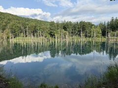 「青い池」きれいでした。観光客も沢山！