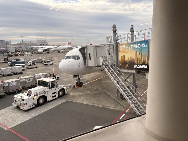 搭乗です。<br />当初天気予報が雨だったので心配だったけどお天気は持ちそう。