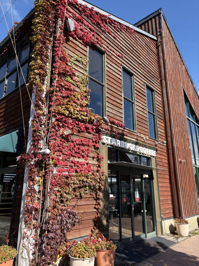 レンタカーを借りたらまずベイエリアへ。<br />オサレなスタバ。