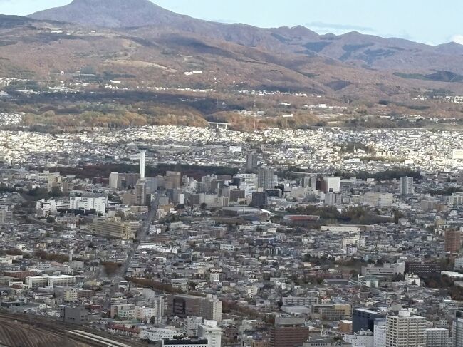 写真の真ん中よりやや左にあるのが五稜郭タワー、緑の部分が五稜郭だと思います。