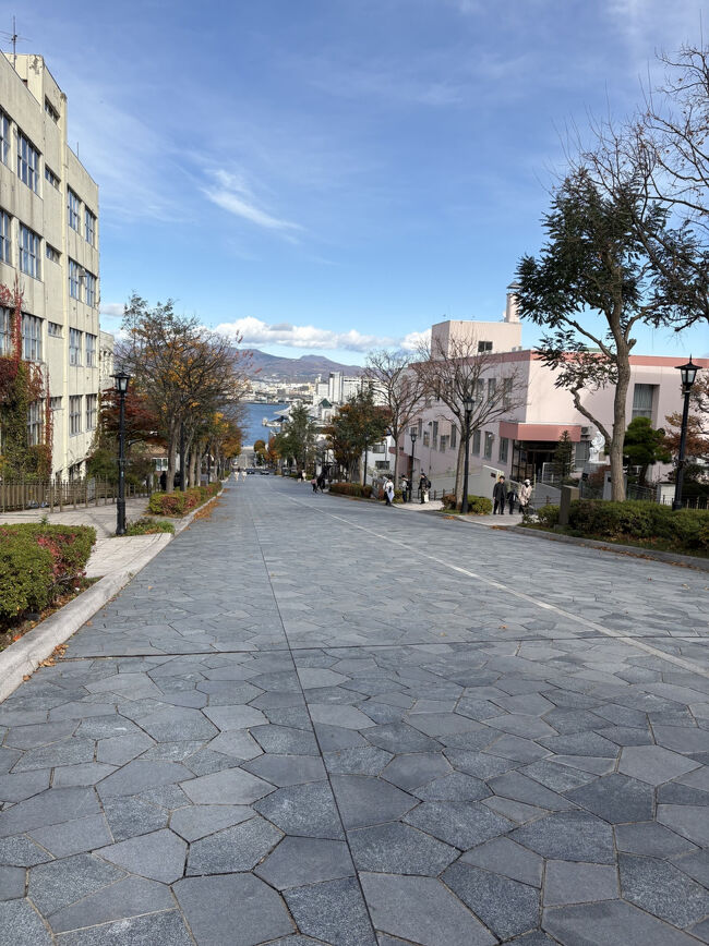 こちらがその坂<br />けっこうな傾斜なので毎日ここを通勤される方は雨や雪の時は大変なんだろうなあ