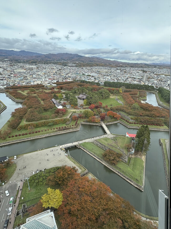 五稜郭全体像<br />これだけ人工的な形の建造物が突然街中にあるっていうのがなかなか興味深い