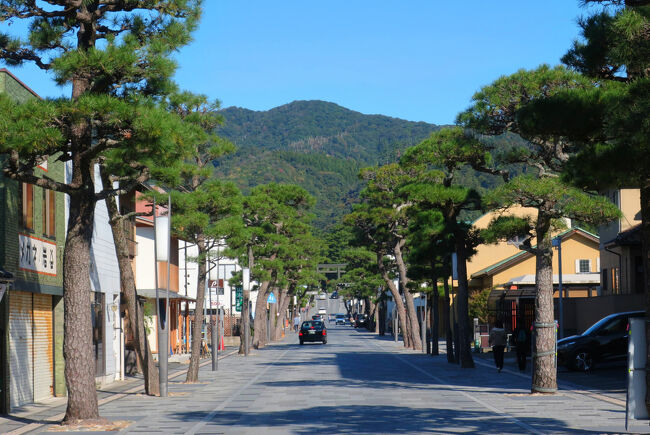 　神門通り。松の木が並ぶ出雲大社の参道だ。伊勢神宮に比ぶべくもないが、それでも昭和時代に比べて店舗が増えた。かつては本殿近くの駐車場に車を止めて、参道に足が向かなかった。平成の遷宮以降、参道にも光が当たり、にぎわいがでてきた。