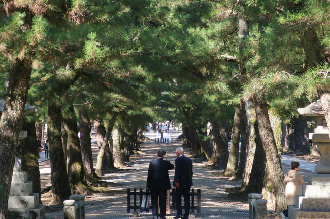 　参道半ばからクロマツが並木道をつくっている。このクロマツは松江藩の殿様の正室が贈ったとか