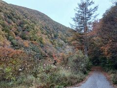 富士見台高原(長野県阿智村)