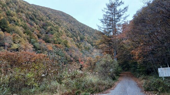 翌朝恵那山を登り始めます