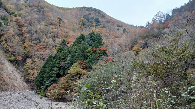 天気は悪いですが山肌は色づいて気がはれます