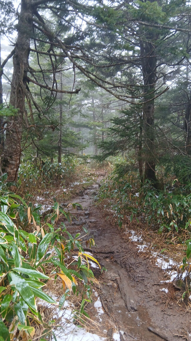 泥濘が多く泥汚れになってしまいました