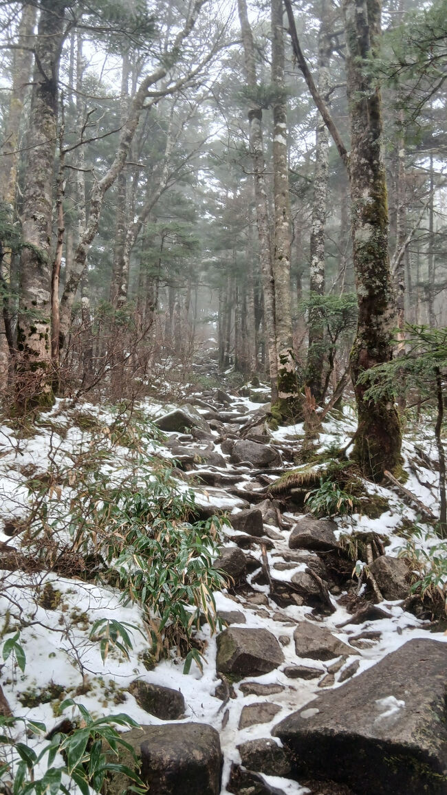 雪が残っています
