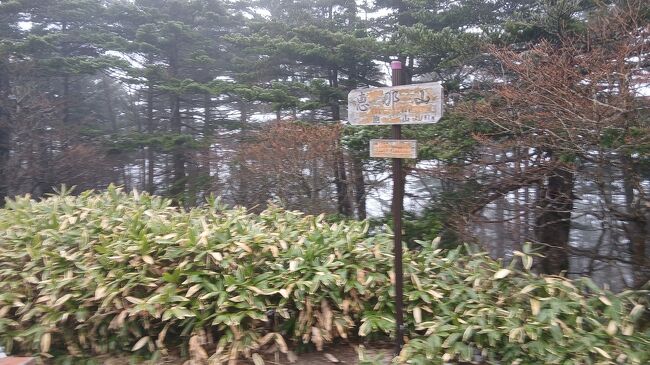 山頂に到着です