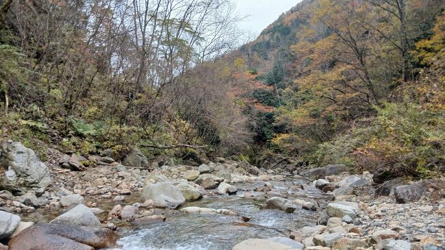 川で泥汚れを洗い流しましたが水が冷たかった