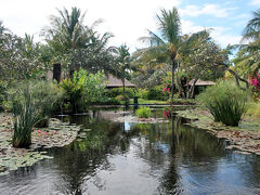 ロビー周辺の庭園。