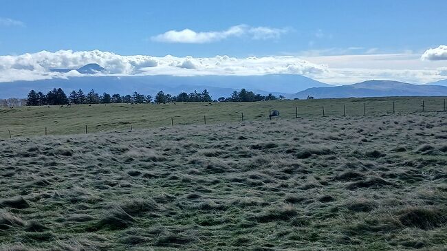 牧草地を歩きます