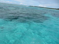 今日も午前中は皆田海岸からボートシュノーケル