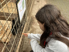 あまり時間もないのだけど、ほかにすることもないので、小動物公園に課金して入場。まだ娘はこういうのが楽しい年齢なので、えさやりして楽しんでいた。
