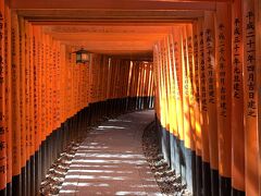 この時は結構登りました。
1人の時はいつも手前で断念するのですが、今回は全部登り切った記憶。
いい運動になりますね。