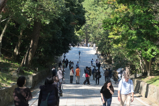 　出雲大社の特徴の一つである下り参道。参道から本殿を見下ろす構造になっている。こんぴらさんなどとは真逆だ。宮崎県の鵜戸神宮や京都の泉涌寺の参道がそうだが、なぜかは不明