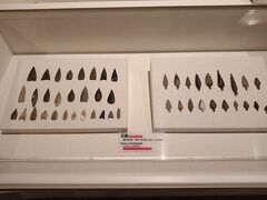 約５０分のガイドツアーのあと、縄文時遊館（展示等）の見学へ。
石器など