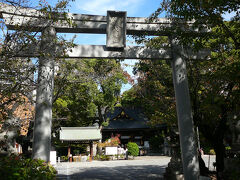 ４日目は名古屋観光と御朱印巡り

若宮八八幡宮へ名古屋総鎮守だそうです