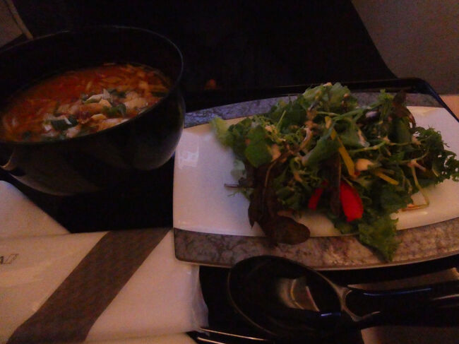 食事を終えてしばらく就寝。<br />ここでしっかりと寝られると到着後の体が楽なのですが、なかなかぐっすりとはいかないものです。<br /><br />起床後サラダと濃厚ねぎ味噌ラーメンを頂きました。
