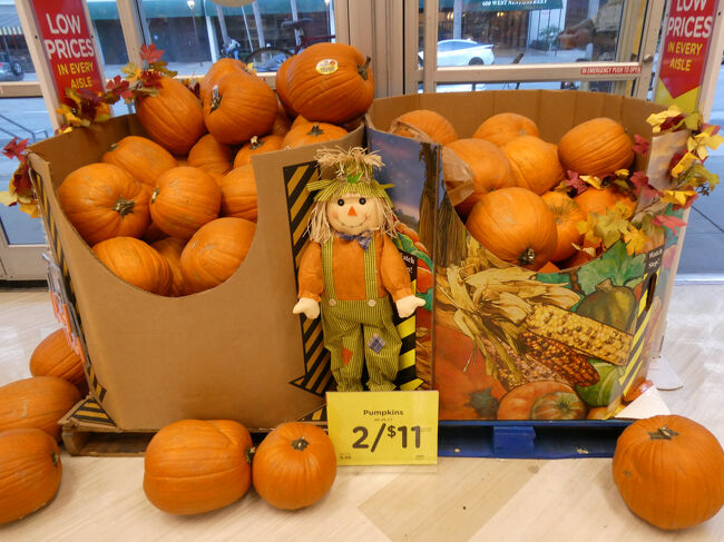まだ時間が早いので、少し休憩をして出かけました。<br />もうすぐハロウィンなのでスーパーでは観賞用の大きなかぼちゃが売っていました。